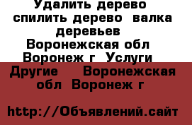 Удалить дерево, спилить дерево, валка деревьев - Воронежская обл., Воронеж г. Услуги » Другие   . Воронежская обл.,Воронеж г.